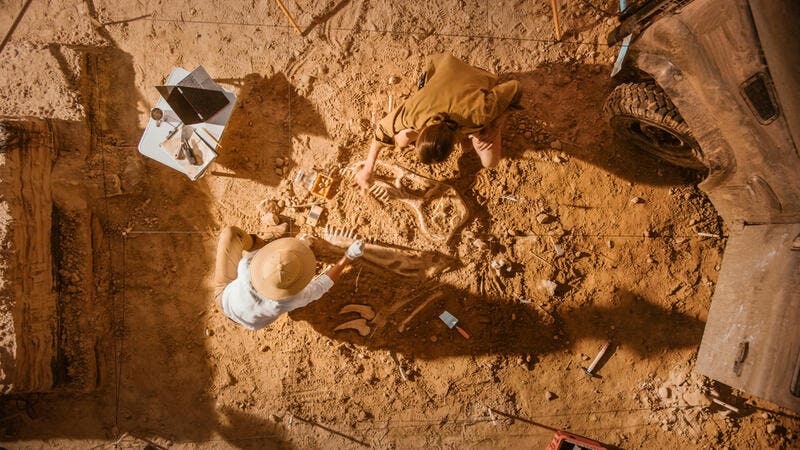 中國大陸發現最古老的劍龍 New Stegosaur Species Unearthed in China (By 洪炎) - Arts ...